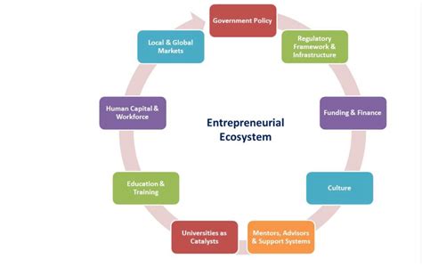 The Role of Economic