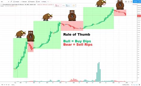 Metadata, Coinbase, Bull Market
